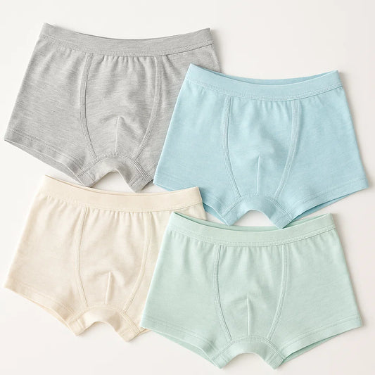 Boxer Brief's 4 Pack